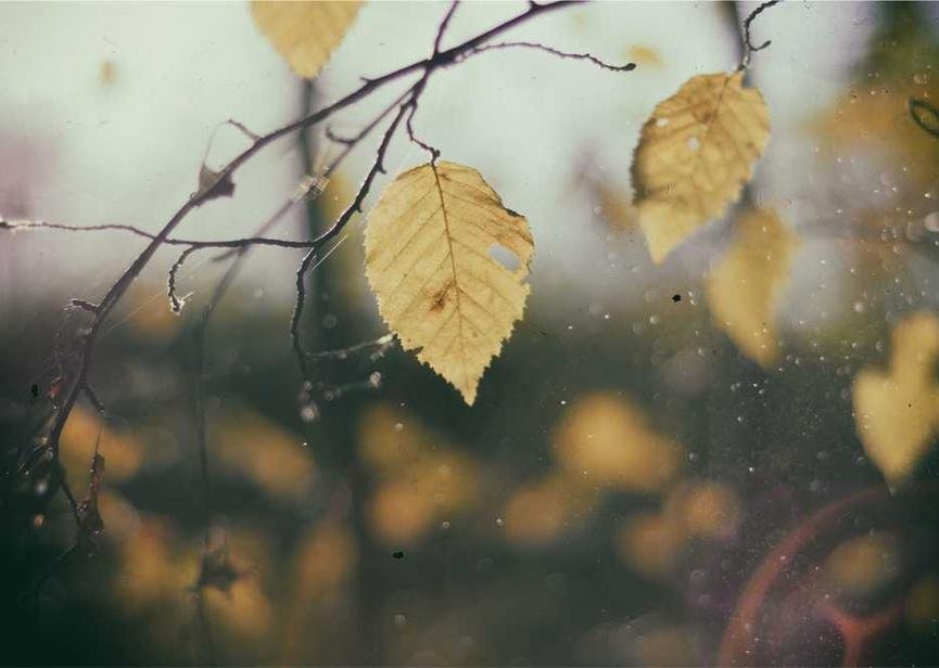 Section international action various.