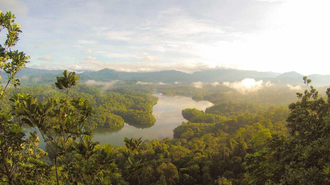 Either audience piece life.